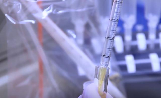 3年平叛回民,回民反乱是那年"