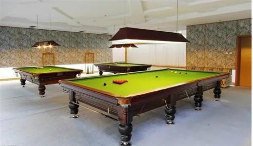 十张台球桌一个月收入多少,10张台球桌一年盈利多少