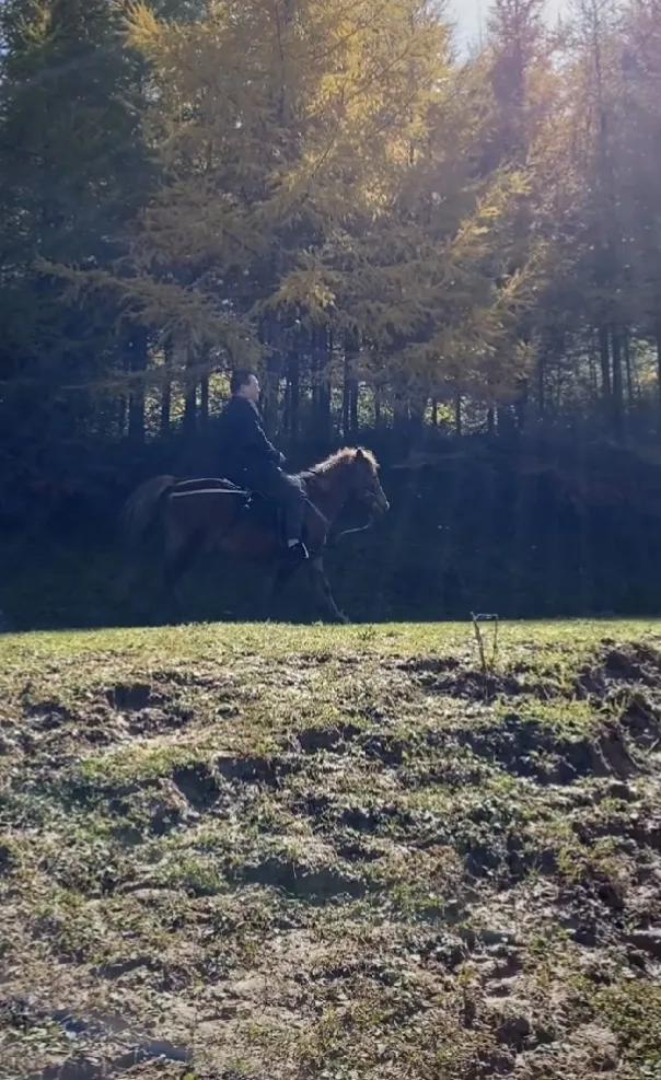 北大李晨现在咋样了,北大才子李晨怼老总