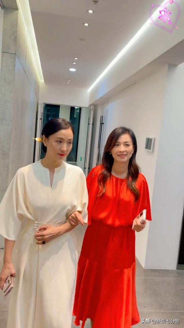 张庭九次试管怎么成功的,张庭做试管婴儿视频
