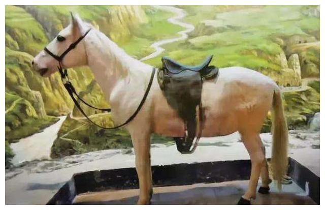 吕布最后的磨难TXT,吕布TXT