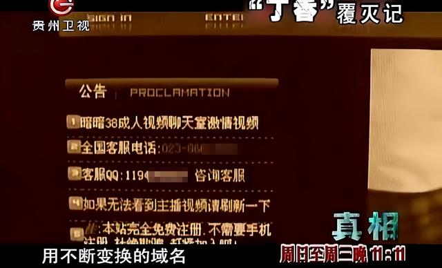 色情网站“丁香”覆灭记：7.3亿的浏览量背后，是谁在操控盈利？