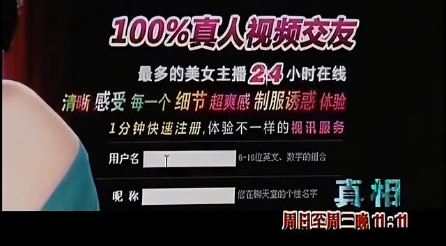 色情网站“丁香”覆灭记：7.3亿的浏览量背后，是谁在操控盈利？