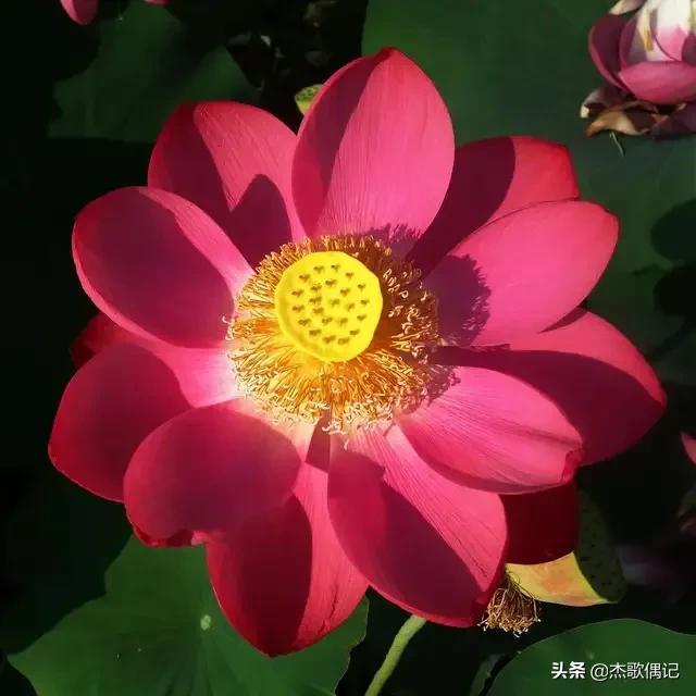 姑嫂关系不好谁更吃亏,都说姑嫂关系难处