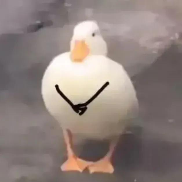 外卖新手一天能送几单能赚多少钱2019,新手外卖员一单多少钱