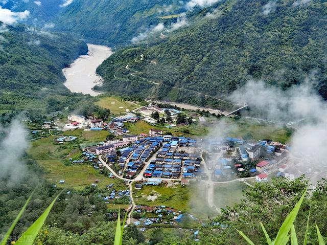 水蛭是什么,蚂蝗还是蚂蝗