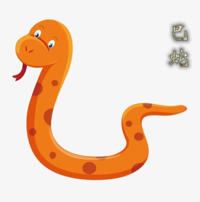 十二生肖夜肖是哪几个生肖，夜肖是哪几个生肖2019