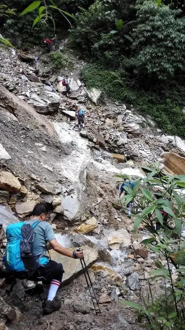 水蛭是什么,蚂蝗还是蚂蝗