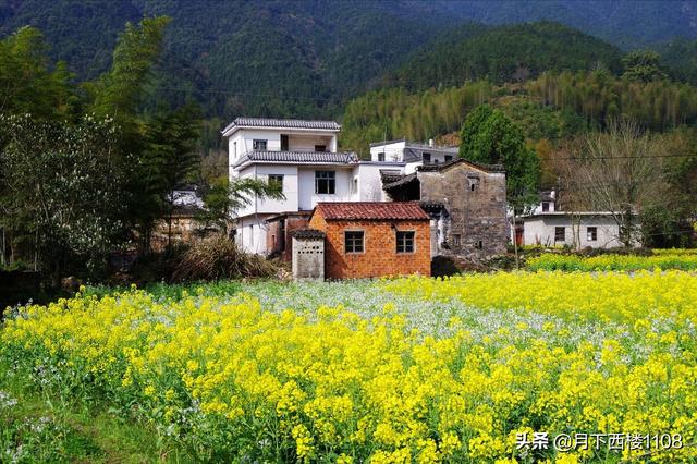 哪个省人最丑男人五官好看，哪个省人最丑十大排名