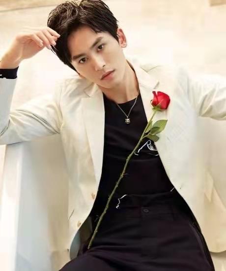 已背叛祖国的明星名单大全，已背叛祖国的明星名单图片