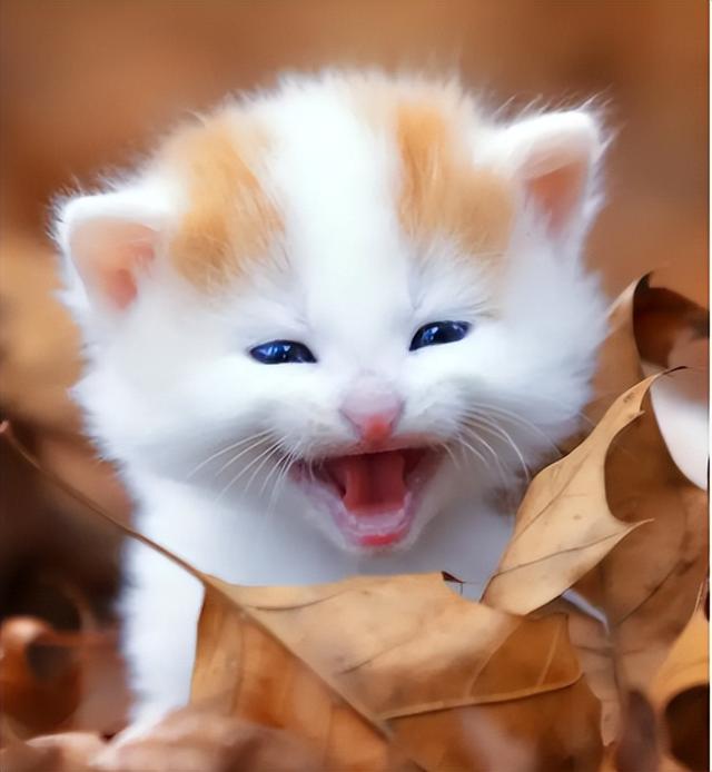 尾货清仓处理最大供应商（中国最大尾货交易平台）