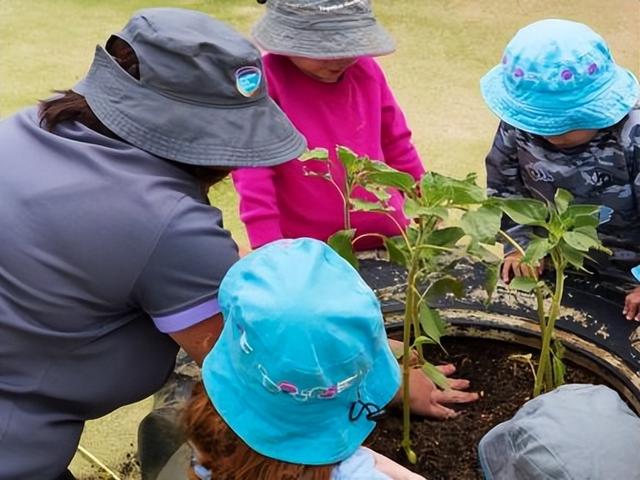 重庆托儿所全托多少钱，十堰托儿所全托多少钱