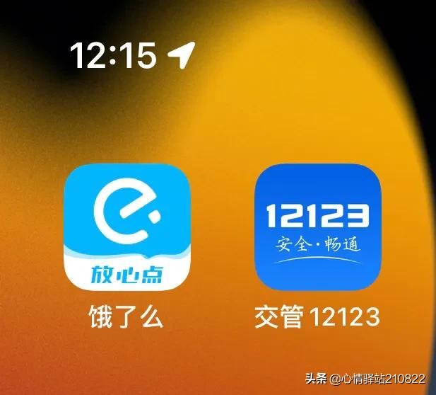 在线自动随机选号器下载，在线自动随机选号器官网