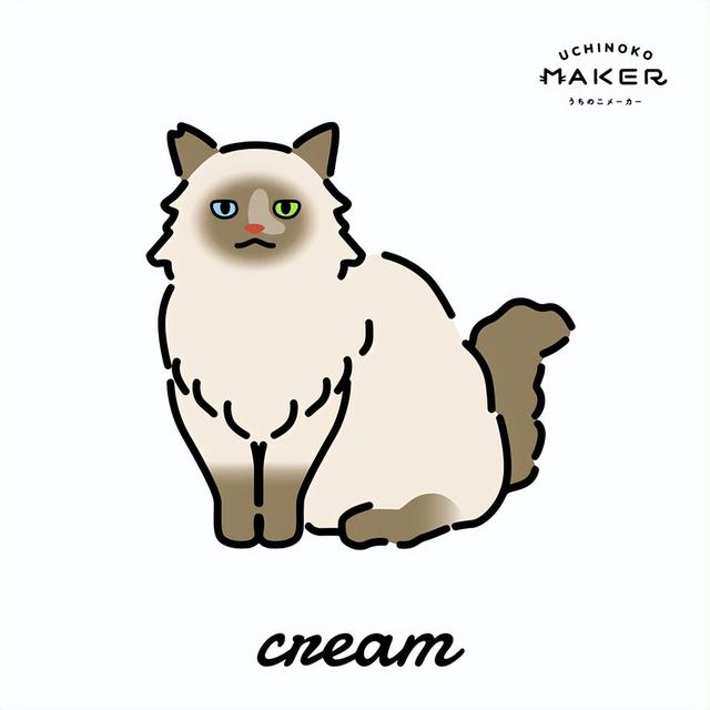 猫人网站，猫人网是个什么网站