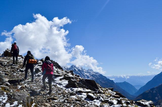 水蛭是什么,蚂蝗还是蚂蝗