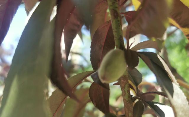 十个方法让你走出抑郁不吃药，十个方法让你走出抑郁
