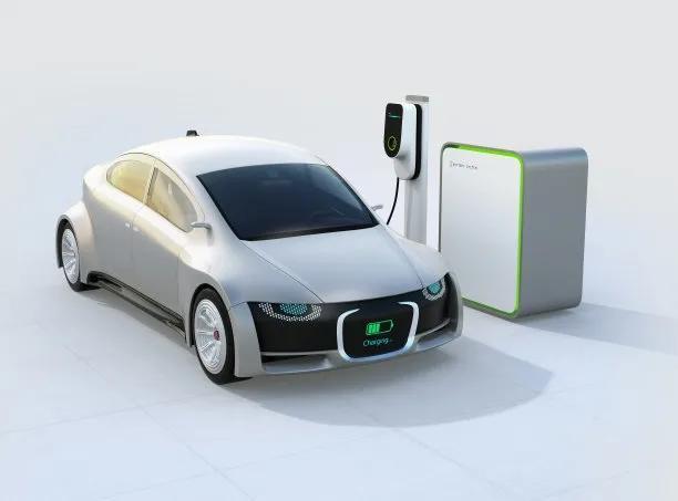 跑花小猪一个月能赚多少钱贴吧，跑花小猪一天能赚多少钱