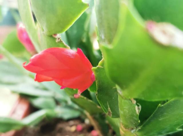 十个方法让你走出抑郁不吃药，十个方法让你走出抑郁