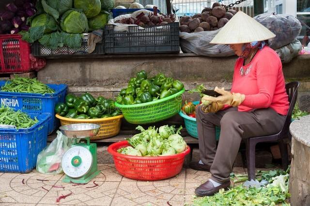 做蔬菜生意入门技巧视频讲解,做蔬菜生意入门技巧视频教学