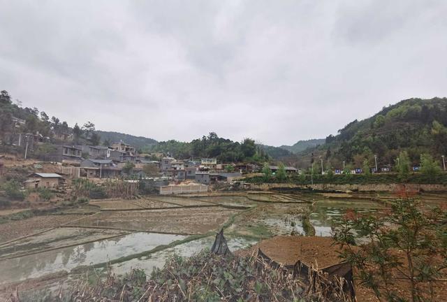 和彩云每月收费多少2T,和彩云每月收费多少