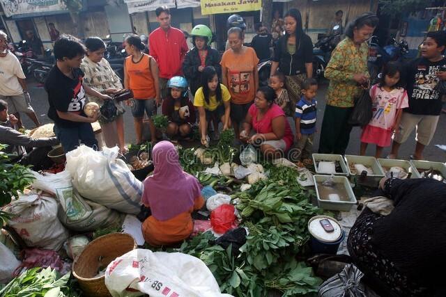 做蔬菜生意入门技巧视频讲解,做蔬菜生意入门技巧视频教学