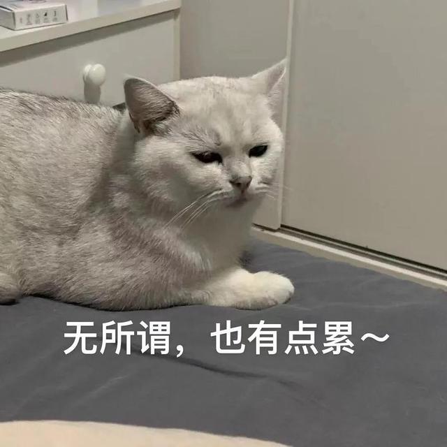 企业微信人数上限是多少人,企业微信的人数上限