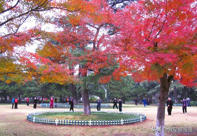 8位单亲女人自述陪读家庭,38位单亲女人自述陪读家庭情况"