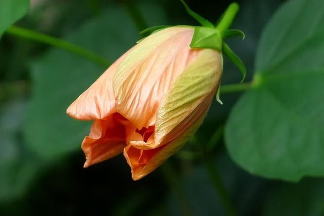 前任回头只有两种情况爱你和玩你如何才能分清，前任玩你的表现