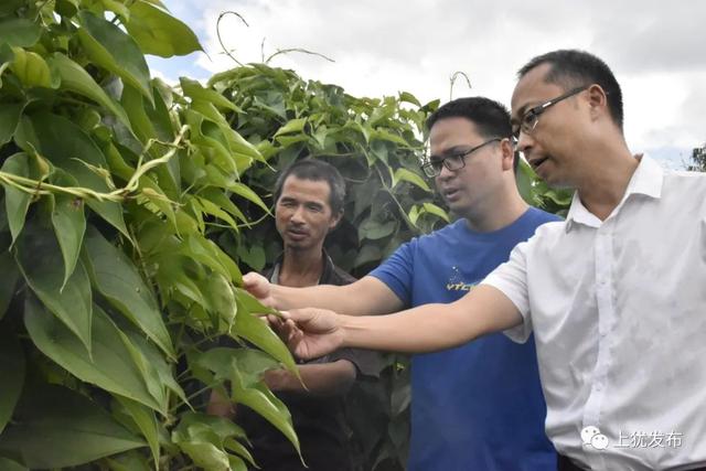 创业者创业成功的例子简短英文,创业者创业成功的例子简短英文版