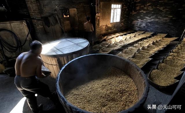 0元一斤散酒利润多少,20元一斤散酒利润多少钱"