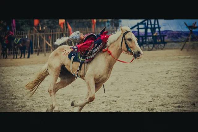 历史上以少胜多的战役有哪些，我国历史上以少胜多的战役有哪些