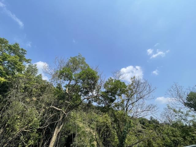 数学说理方法有哪些,劝学说理方法有哪些