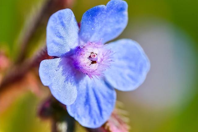 前任回头只有两种情况爱你和玩你如何才能分清，前任玩你的表现