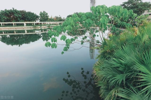 夜场mmc是什么意思啊,ktv里面mmc是什么意思啊