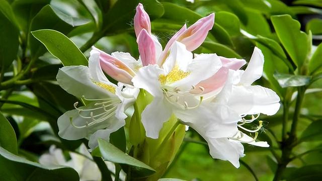 前任回头只有两种情况爱你和玩你如何才能分清，前任玩你的表现