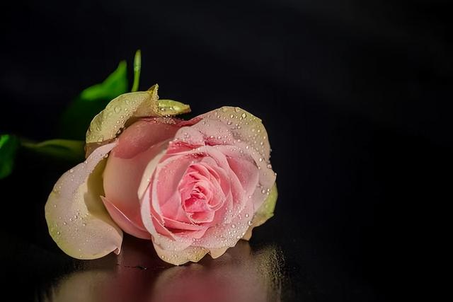 前任回头只有两种情况爱你和玩你如何才能分清，前任玩你的表现