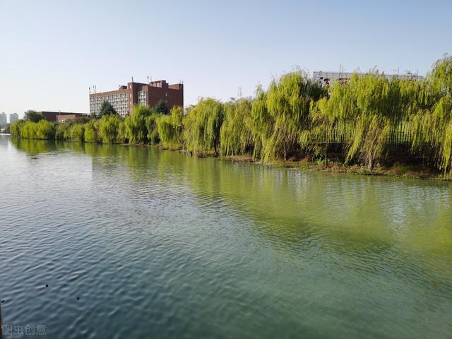 夜场mmc是什么意思啊,ktv里面mmc是什么意思啊