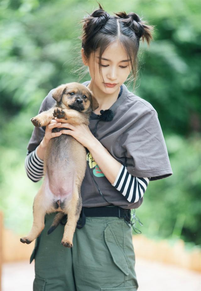 王子文个人资料简介哪年出生,王子文个人简介出生日期