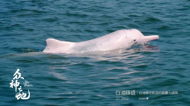 现象级什么意思,现象级什么意思还有什么级