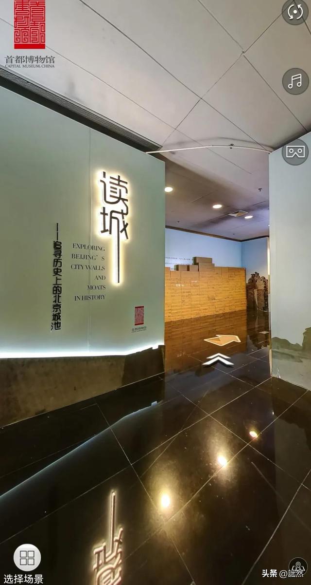 养鸽子的禁忌野生鸽子吃什么,养鸽子禁忌食物有哪些