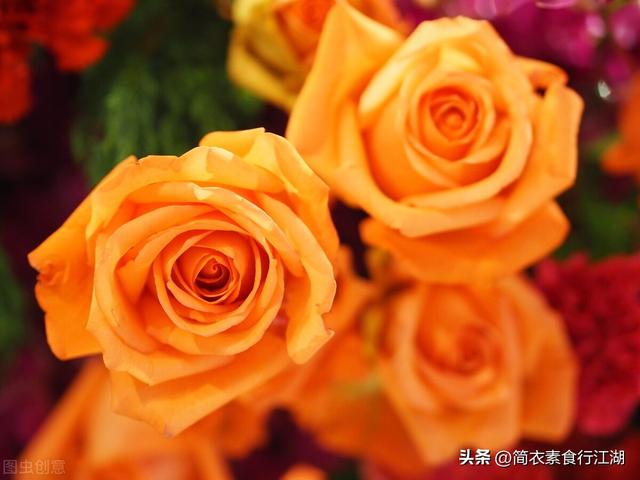 她做保姆这些年最新消息553,她做保姆这些年最新消息557