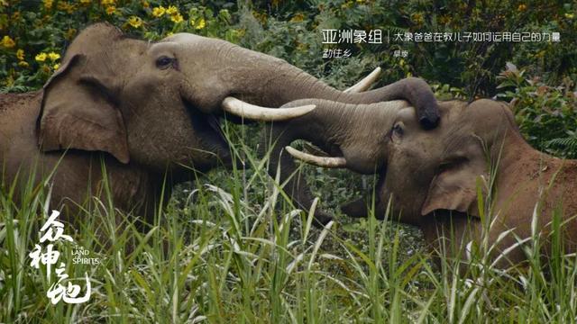 现象级什么意思,现象级什么意思还有什么级