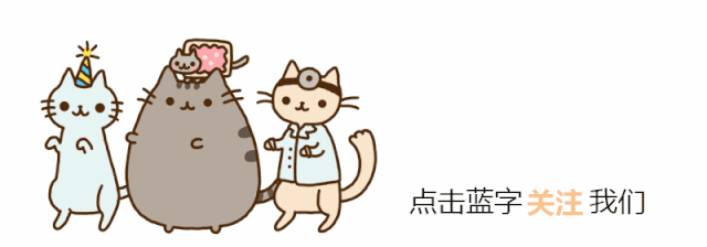 为什么有的布偶猫才2000元海豹色,海豹色布偶猫贵不贵