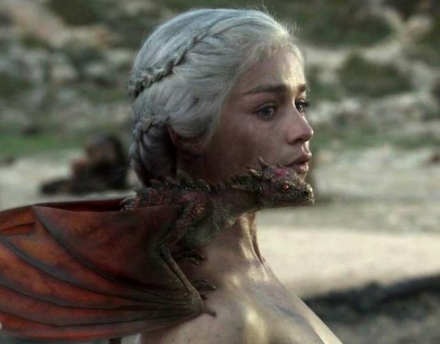 龙之向导外贸网站,龙之向导外贸网站_网络服务