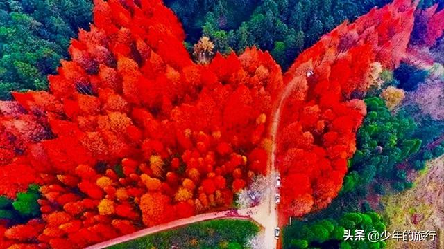 怀化适合小孩子玩的地方有哪些景点,怀化适合小孩子玩的地方有哪些景点推荐