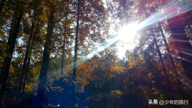 怀化适合小孩子玩的地方有哪些景点,怀化适合小孩子玩的地方有哪些景点推荐