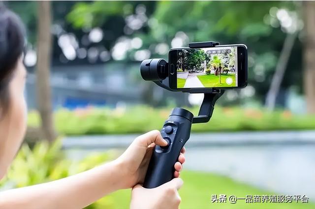 冷门暴利养殖业什么动物最贵,比较贵的动物养殖