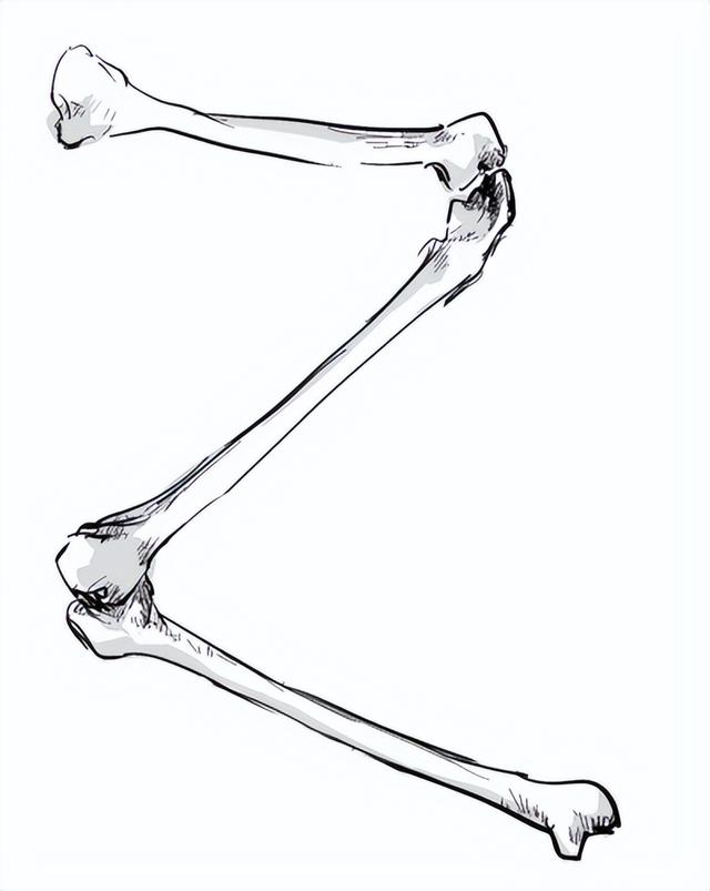 骨五笔怎么打字,骨五笔怎么打字五笔怎么拆