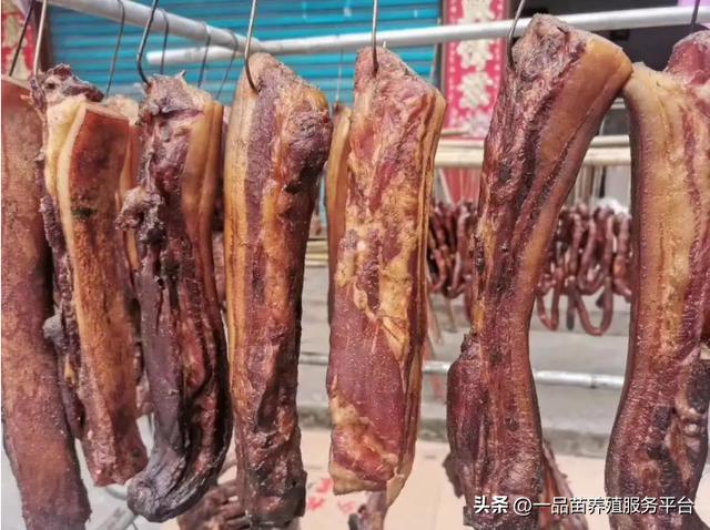 冷门暴利养殖业什么动物最贵,比较贵的动物养殖