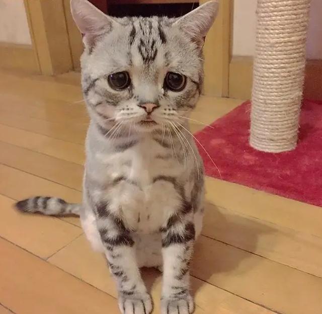 买家叫卖家给他延长收货,卖家无法延长收货